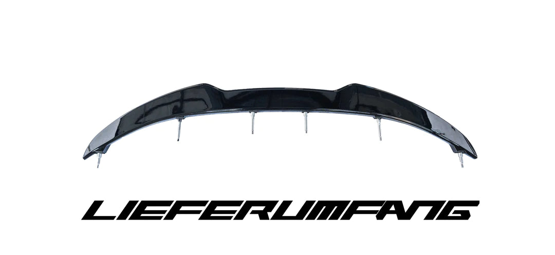 Heckspoiler I30N Fastback - "Edition One" TG Works